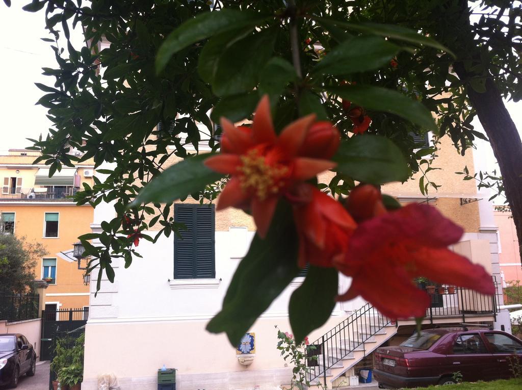Aristocarli Bed & Breakfast Rome Exterior photo